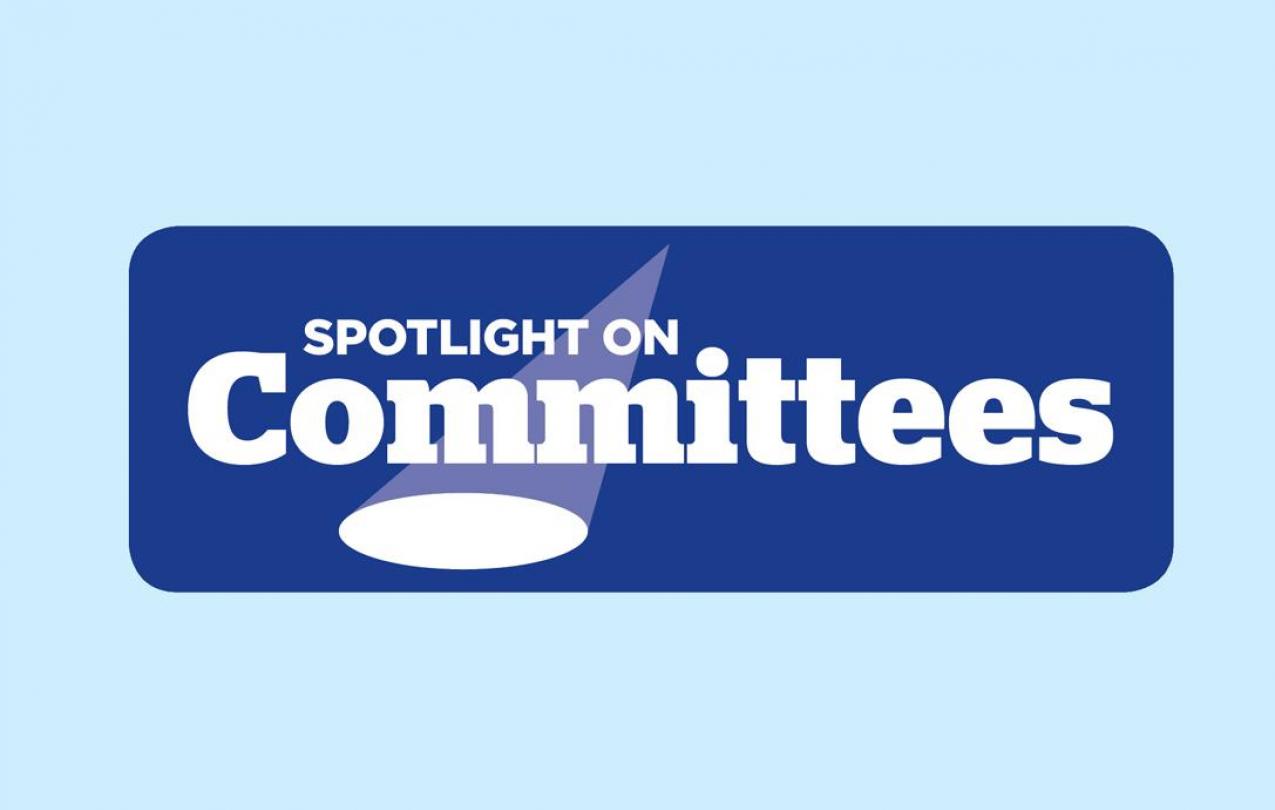 spotlight_committees